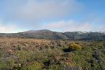 Planiny v NP Mount Field