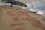 Archeologické muzeum Lepenski Vir