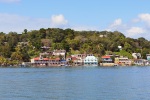2402_08_Flores_PohledNaSanMiguel