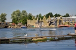 Harderwijk - Delfinárium delfíni