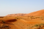 Al Faya - velbloudi v poušti