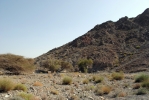 Omán - Hajar Mountains