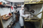 Expozice v Le Grand Bunker muzeu v Ouistrehamu