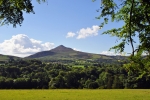 Sugar loaf