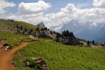 Friedrich August Weg