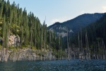 Jezero Kaindy v NP Kolsajská jezera