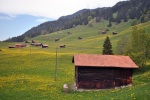 Alpské louky u  vesnice Gnalp