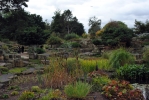 Kew Gardens