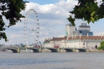 Pohled přes Temži na London Eye