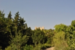 Buskett - Verdala palace
