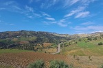 Cestou u Douar El Izziyene