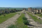 Pohled na Volubilis od severní brány