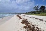 Pláž Nube v Playa del Carmen