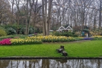 Při procházce v botanické zahradě Keukenhof