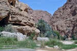 Wadi As Shab - cesta