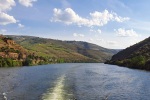 Vinice v okolí řeky Douro z lodi
