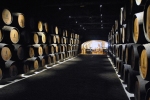 Porto - Vinné sklepy Sandeman