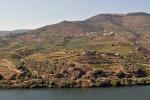 Douro - Řeka, vinice a olivovníky