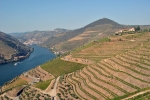 Douro - Vinice Quinta do Seixo  a Pinhão