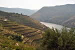 Douro - Vinice Quinta do Seixo