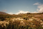2708_05_NPDovrefjell_Pizmoni2