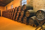 Jerez de la Frontera - Sudy se sherry