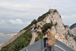 Gibraltar - Makak a Skála