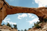 Natural Bridges NP - Owachomo Bridge