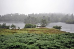 Oblast Tarn Hows v NP Lake District