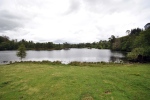 Oblast Tarn Hows v NP Lake District